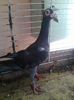Photo0843