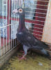 Photo0845