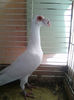 Photo0847