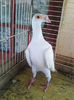 Photo0854