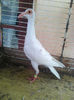 Photo0859