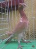 Photo0921