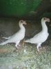 Photo0923