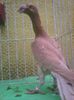 Photo0927