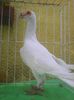 Photo0945