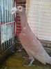 Photo0884