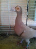 Photo0895