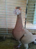 Photo0896