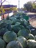 Photo0093