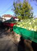 Photo0092
