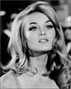 564full-barbara-bouchet