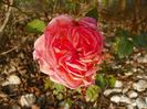 Abraham Darby