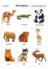 Wild Animals 3