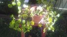 received_260147231174673