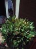 received_258884064634323