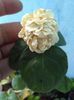 received_250268968829166