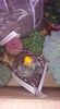 received_394819870933013