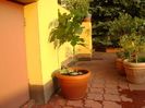 3 Smochini impletiti