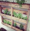 60ae6470823aac7413b1d684b5f98fb1--pallet-herb-gardens-herbs-garden