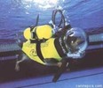 costum de pentru scufundat pentru caine- 4 poze rare Demi Lovato