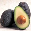 avocado- 1 poza vanessa hudgens