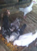 Photo0940