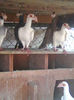 Photo0941