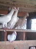 Photo0947