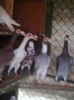 Photo0948