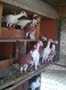 Photo0952