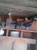 Photo0954
