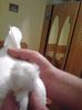 received_1922634781335734