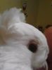 received_1922637468002132