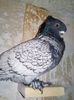 received_804944089680121