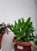 thumbnail (66)