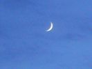 Luna Noua in Capricorn