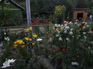 20170713_213248_Richtone(HDR)