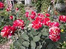 20170823_155957_Richtone(HDR)