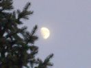Luna in crestere in Berbec