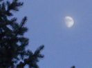 Luna in crestere in Berbec
