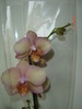 DSC04570