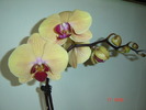 DSC04561