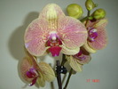 DSC04563