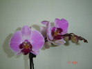 DSC04566