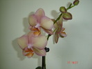 DSC04543