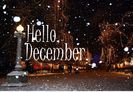 Hello_december_pictures-3