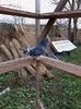 received_149145972511511