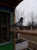 received_149145215844920