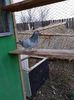 received_149146025844839