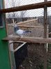 received_149146389178136